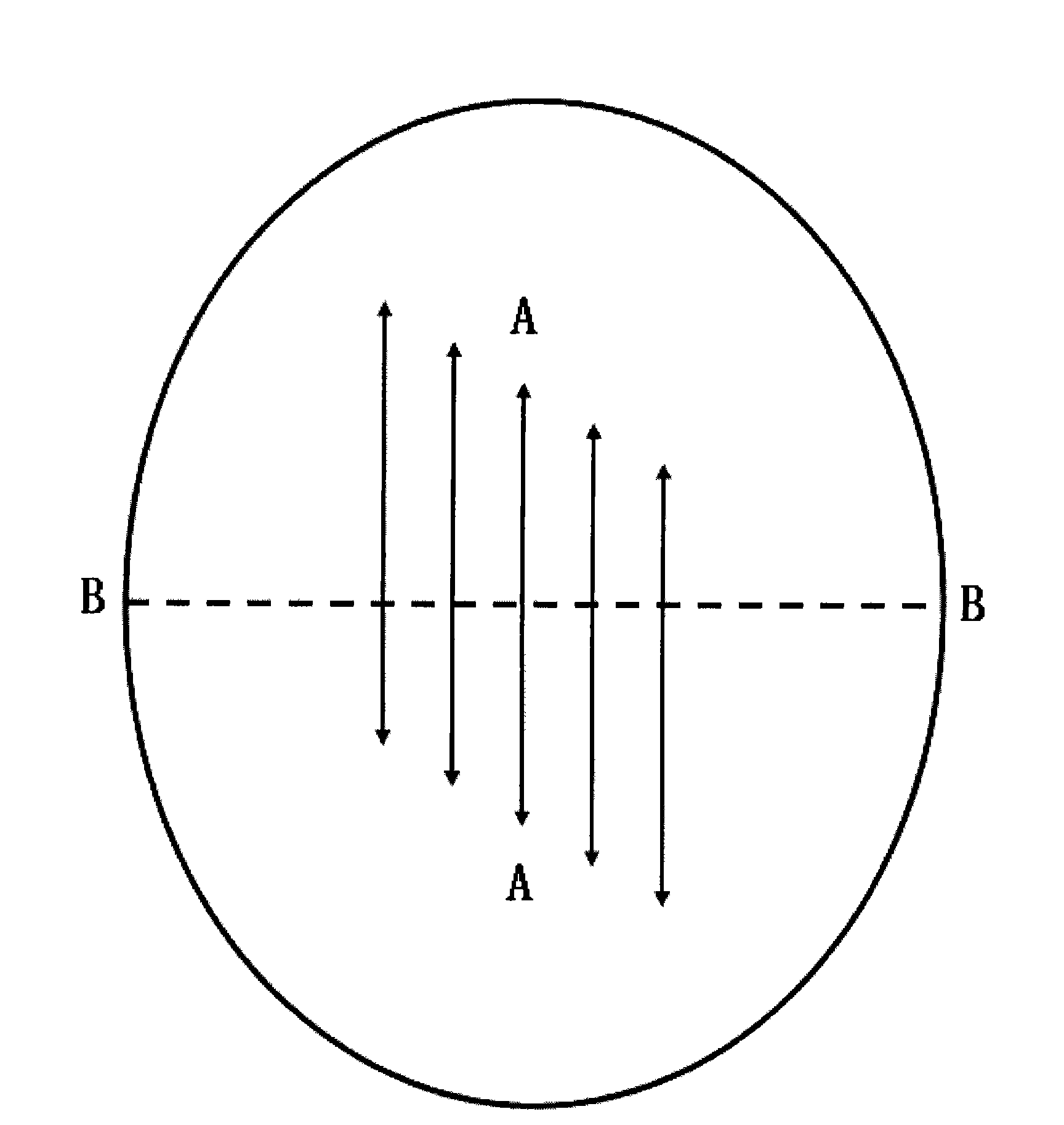 Method and equipment for preparing dumplings