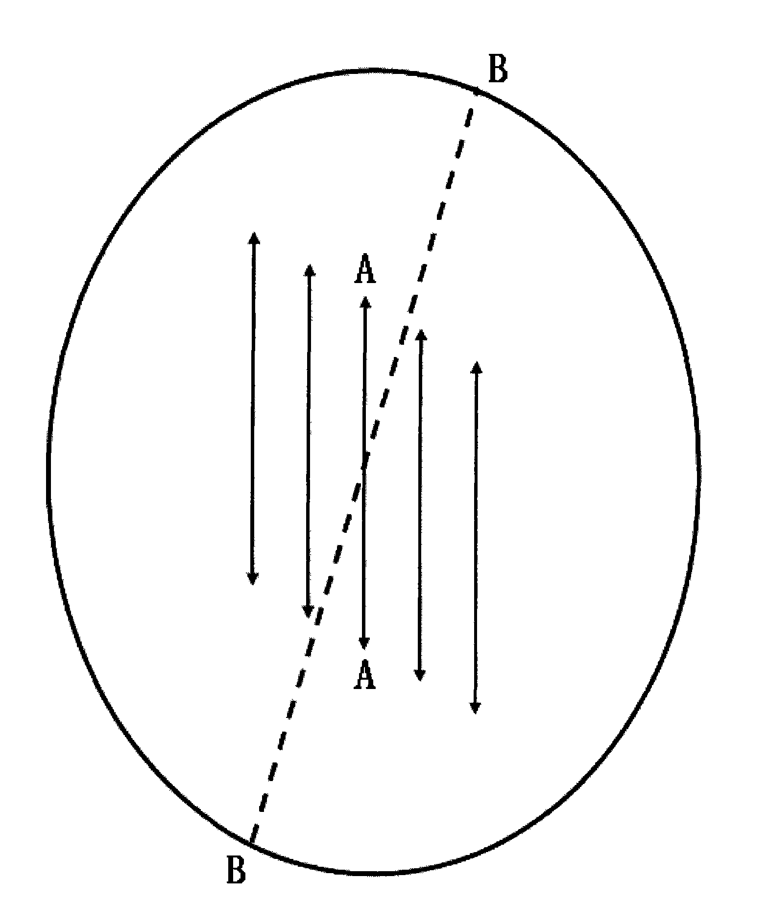 Method and equipment for preparing dumplings