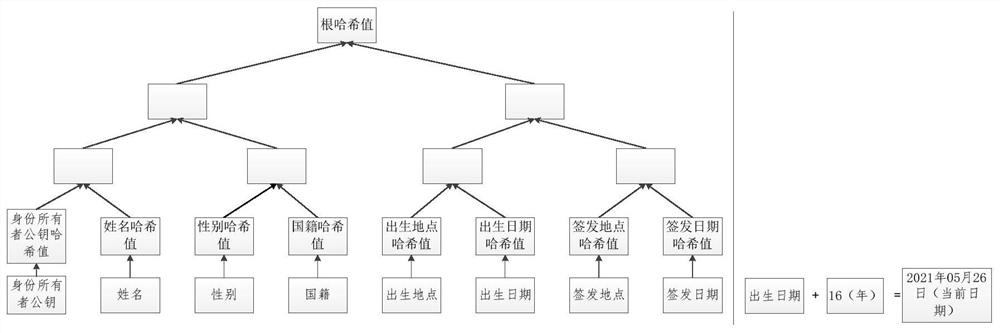 Identity authentication data modeling method, device and system based on privacy protection