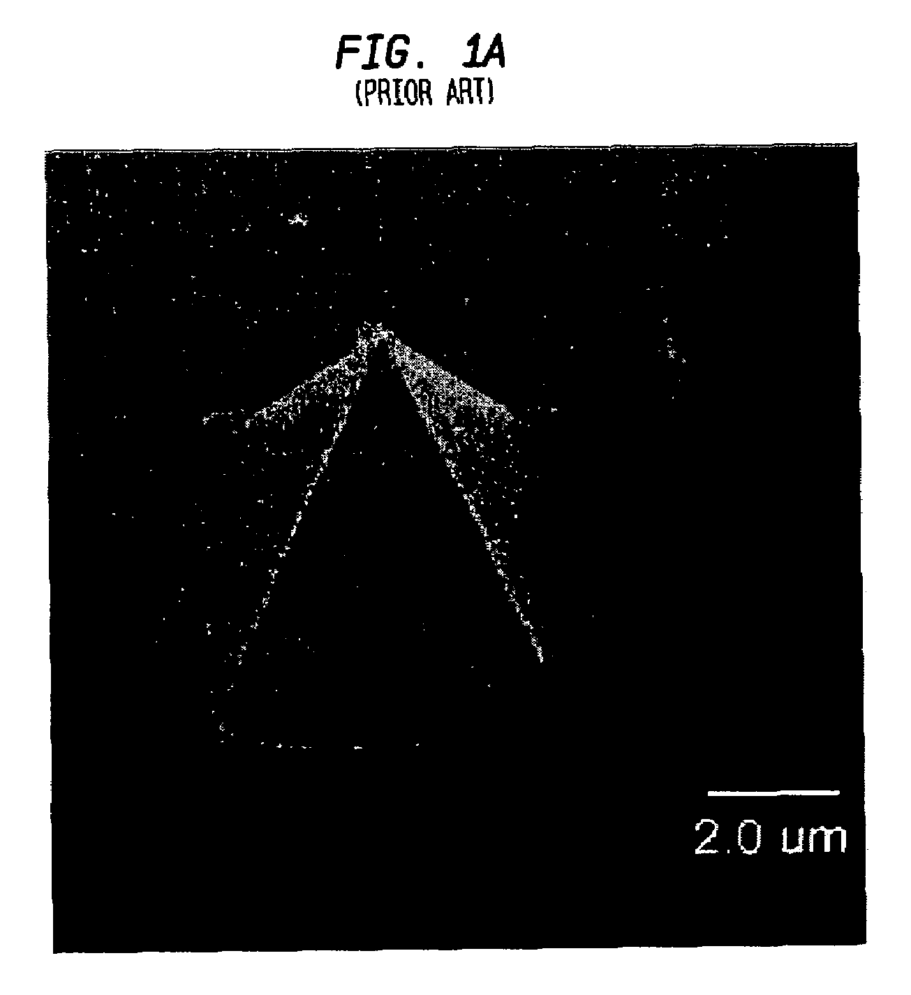 Monolithic high aspect ratio nano-size scanning probe microscope (SPM) tip formed by nanowire growth