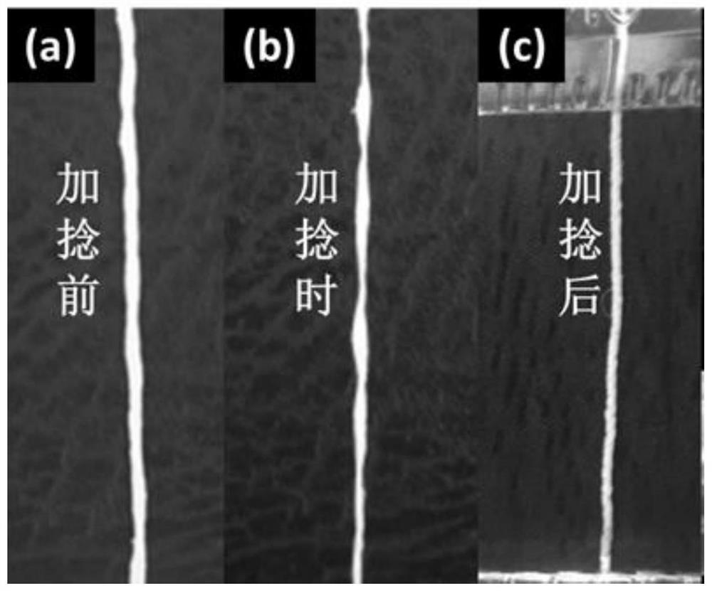 Preparation method of energy conversion fiber