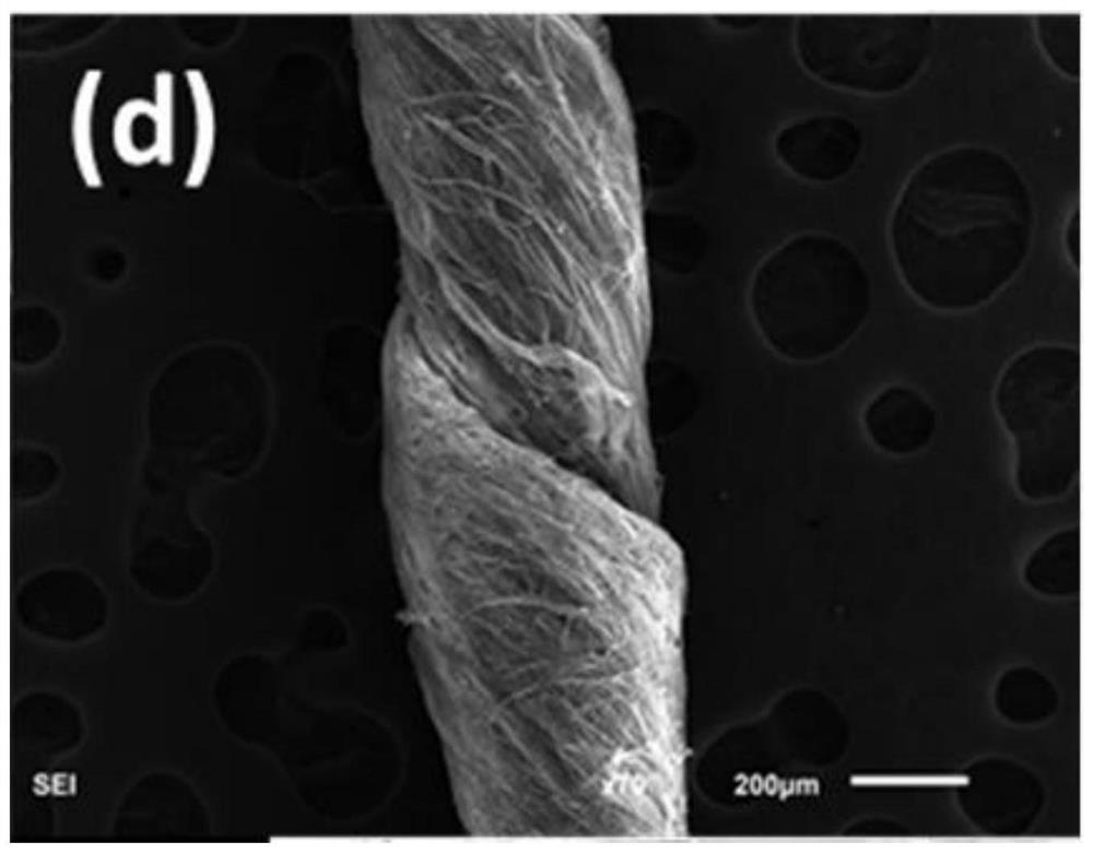 Preparation method of energy conversion fiber