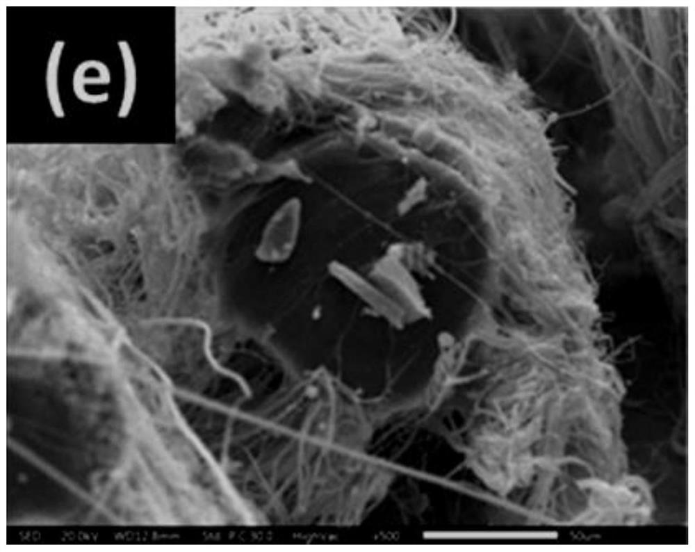 Preparation method of energy conversion fiber