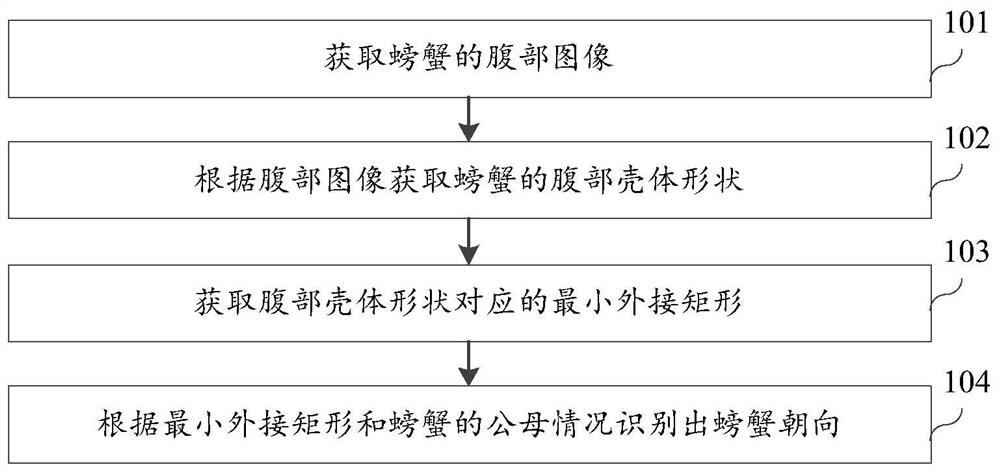 Crab Orientation Recognition Method Based on Image Segmentation