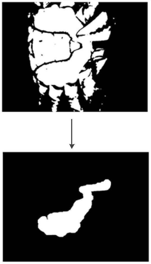 Crab Orientation Recognition Method Based on Image Segmentation