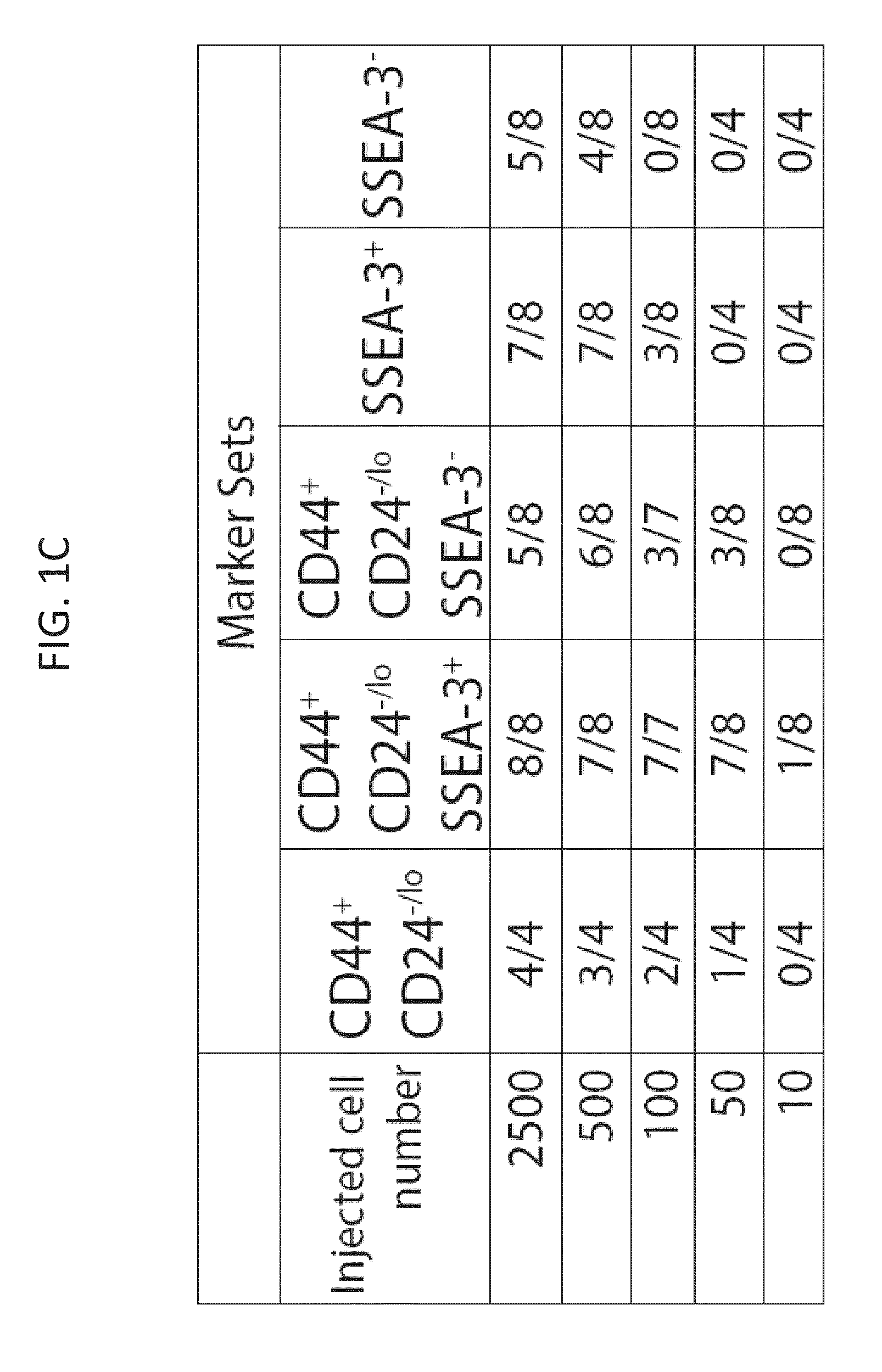 Cancer markers and methods of use thereof