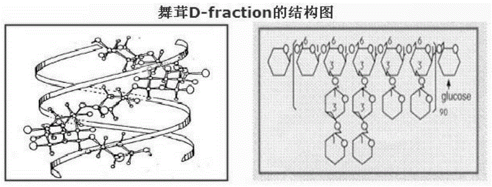 Application of grifron maitake extraction in preparation of anti-depression drug