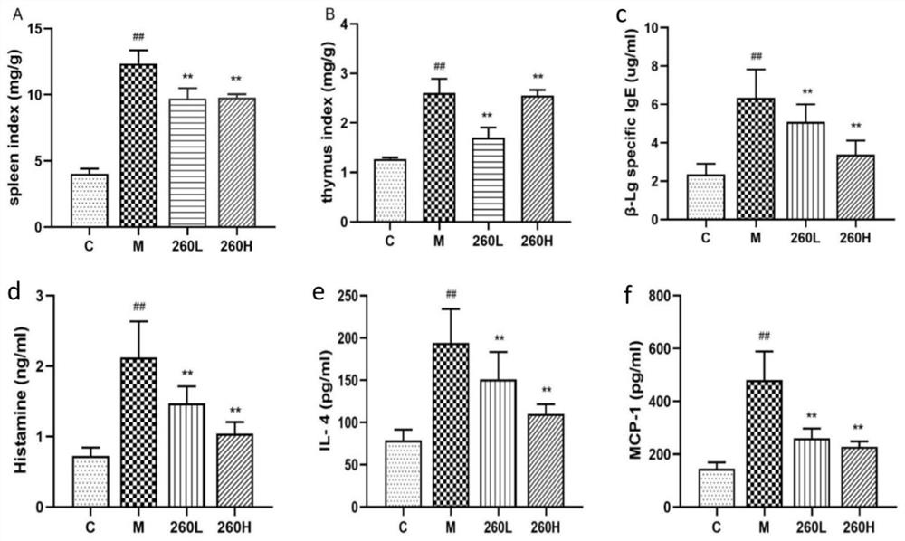 Lactobacillus rhamnosus and application thereof