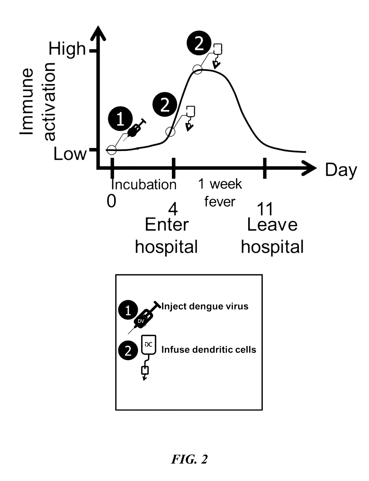 Compositions and methods for producing dendritic cells