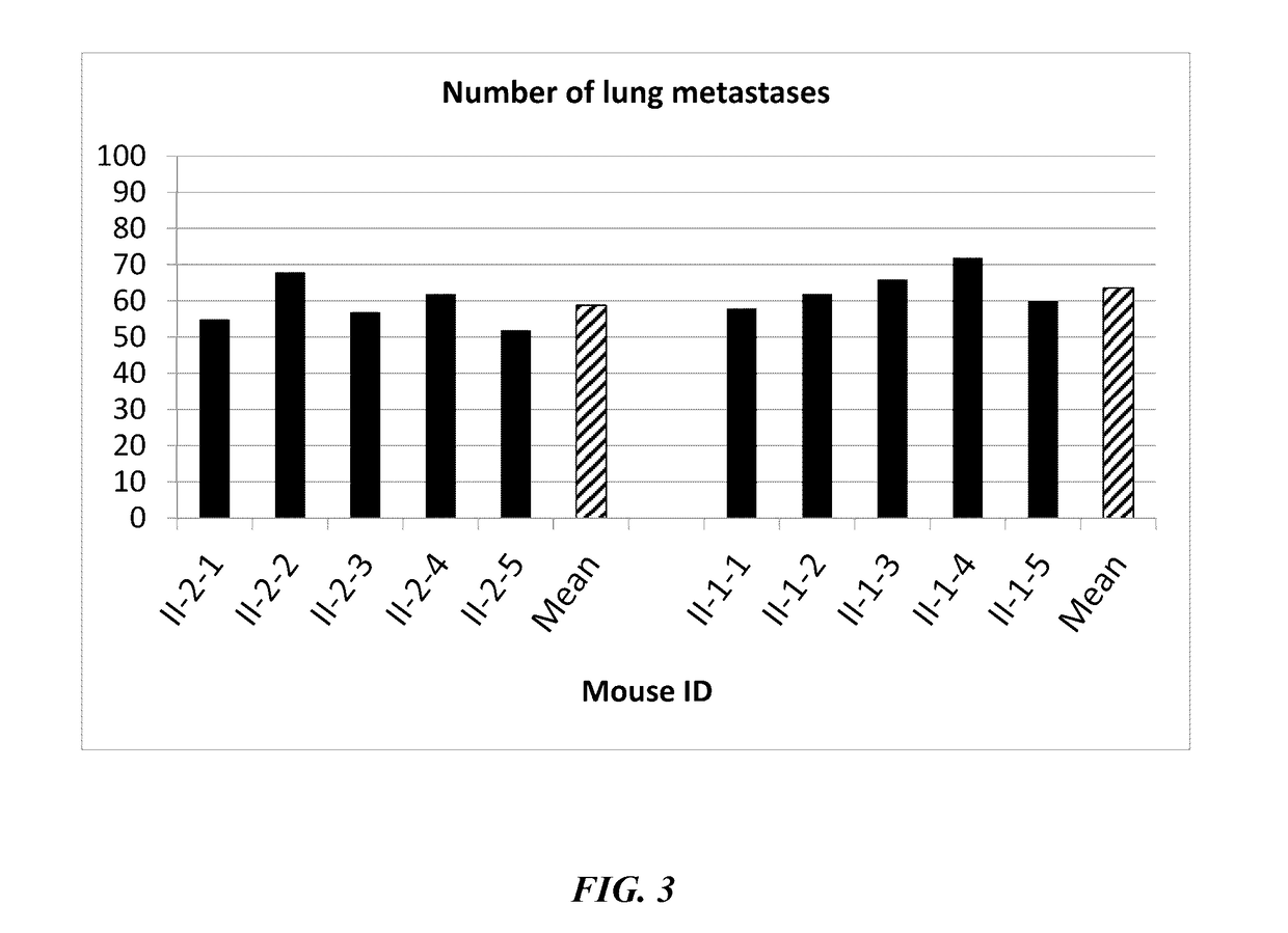 Compositions and methods for producing dendritic cells