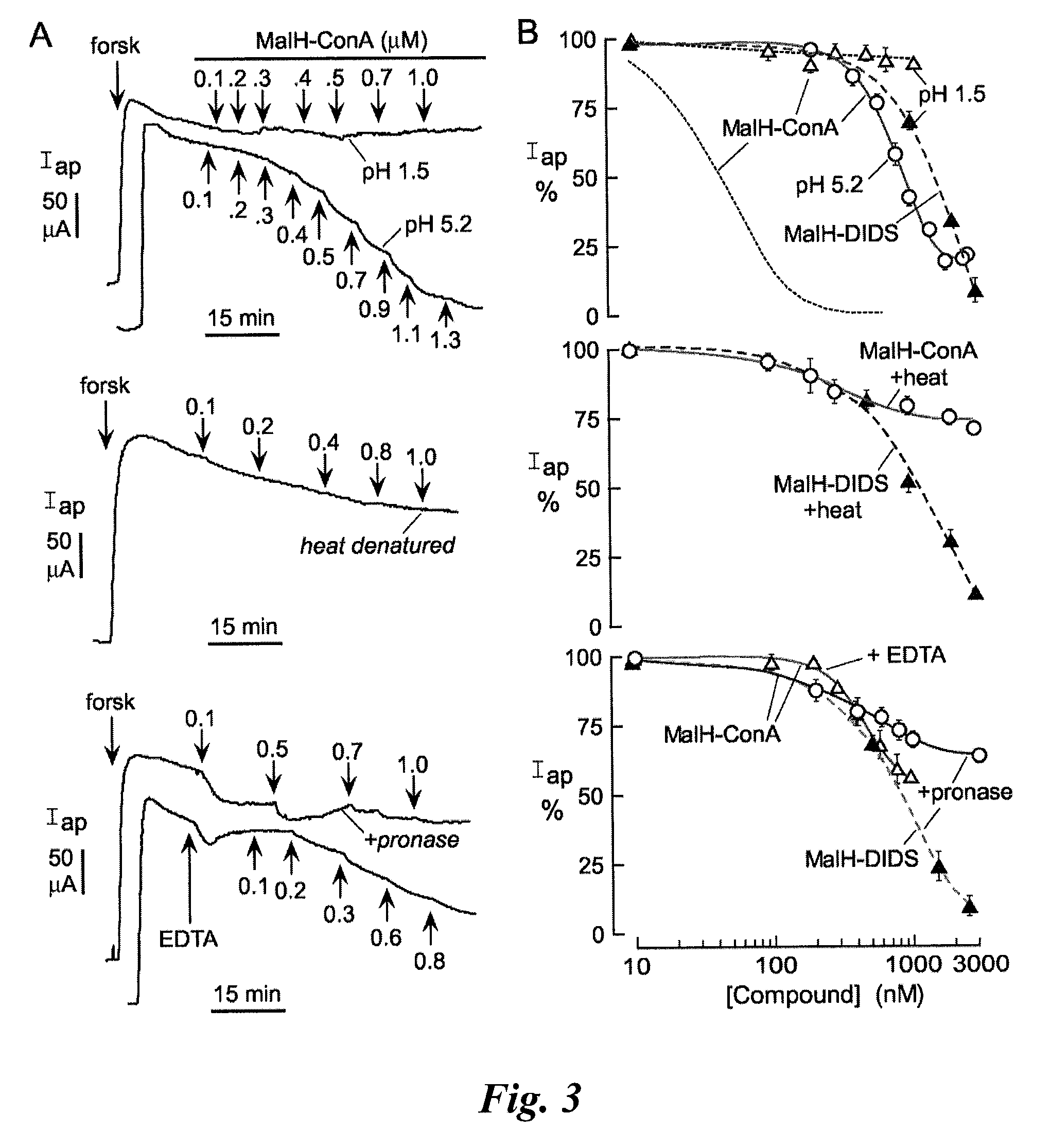 Macromolecular conjugates of cystic fibrosis transmembrane conductance regulator protein inhibitors and uses therefor