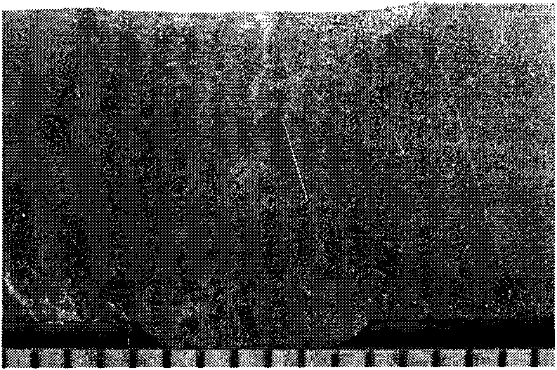 Fusing agent used for stainless A-TIG welding and using method thereof