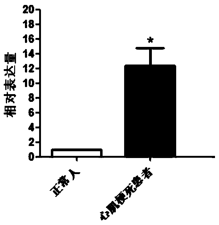 New diagnostic function of maea gene in blood