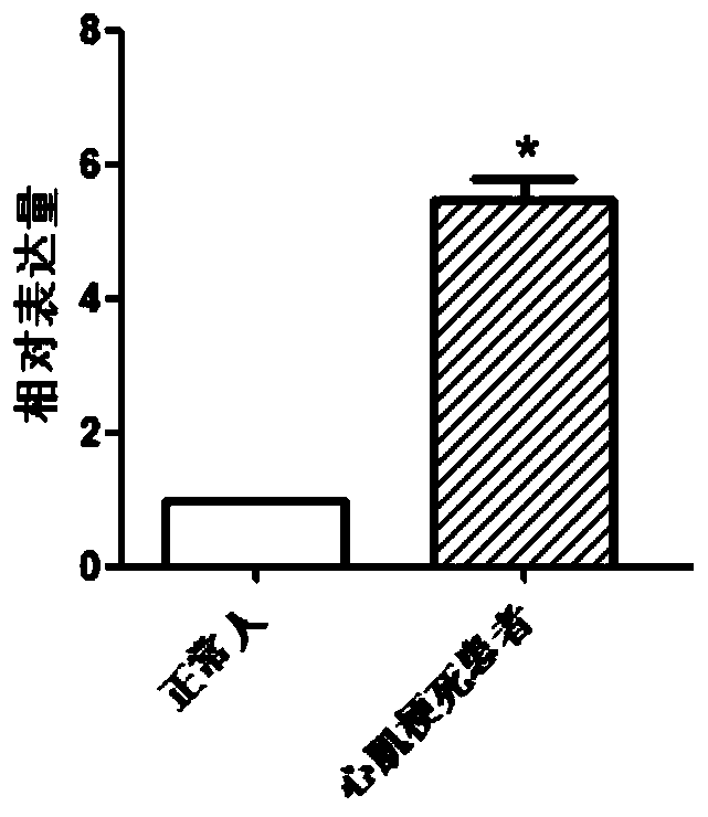 New diagnostic function of maea gene in blood