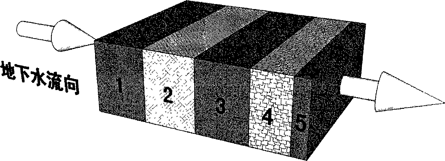 Method for renovating groundwater in situ with chemical and biological composite reaction wall