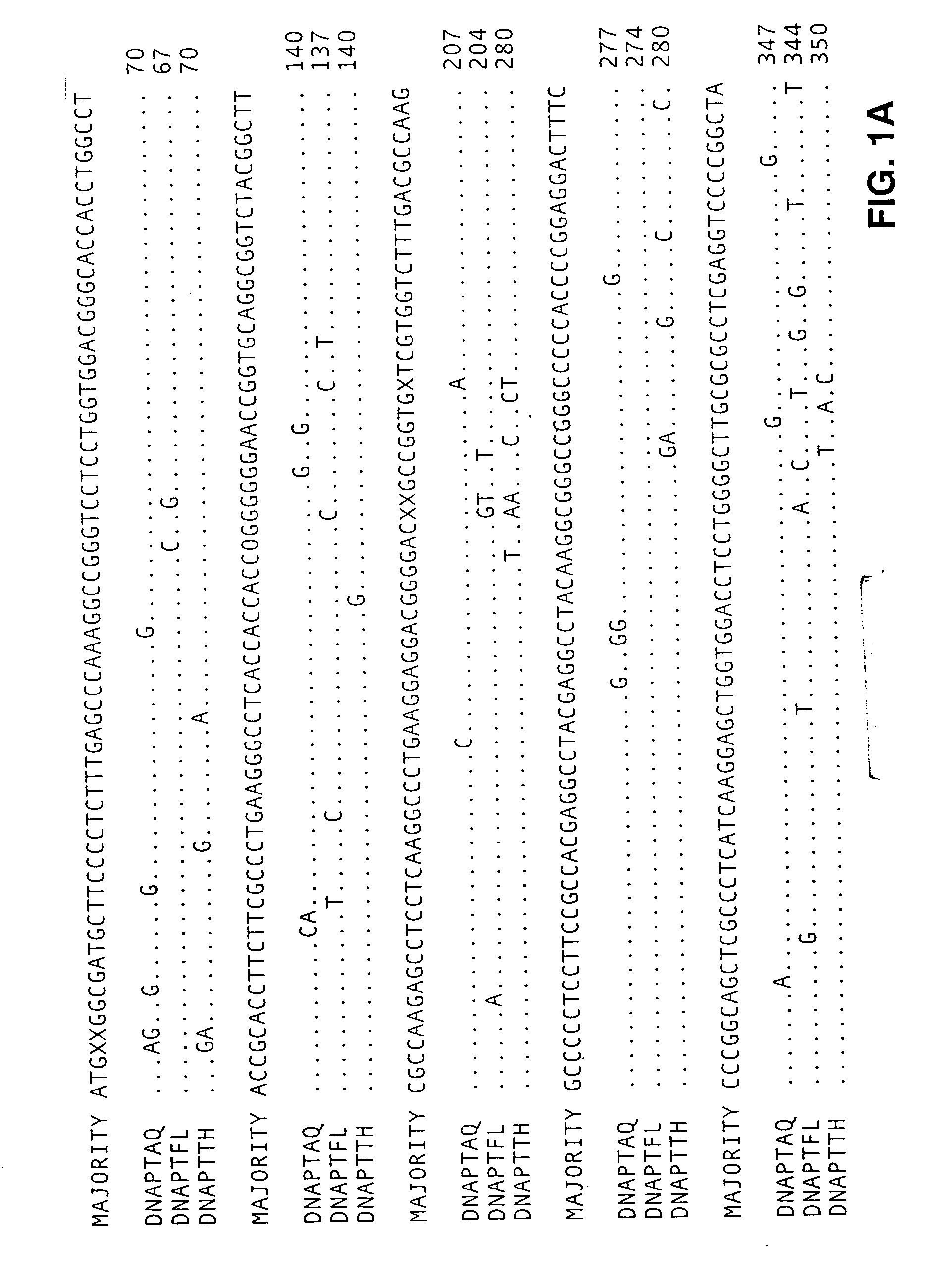 Reactions on a solid surface