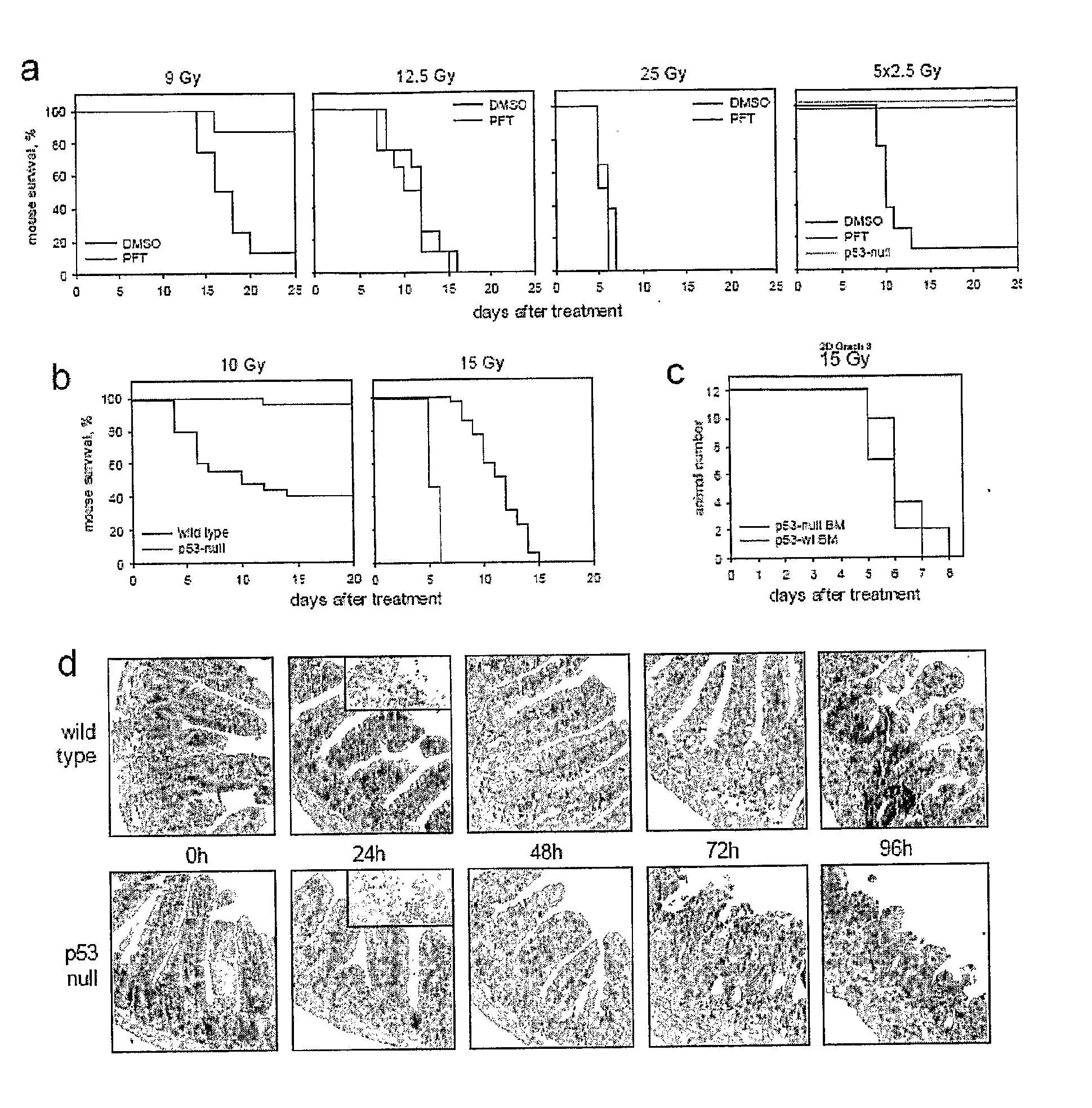 Flagellin Related Polypeptides and Uses Thereof