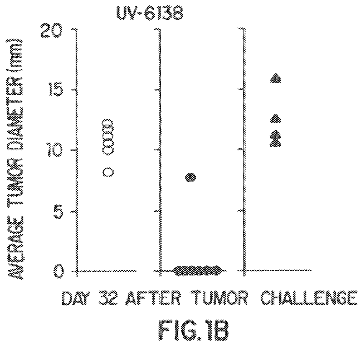 Compositions and methods using complexes of heat shock protein 90 and antigenic molecules for the treatment and prevention of neoplastic diseases