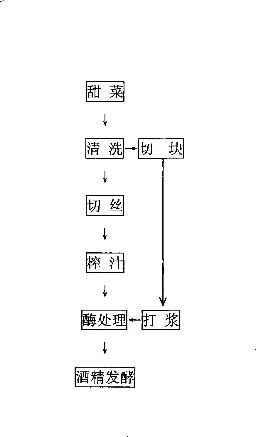 Method for fermenting alcohol directly by beet