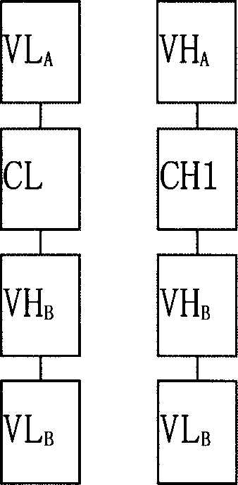 Trivalent bispecific antibody and its preparation process and use