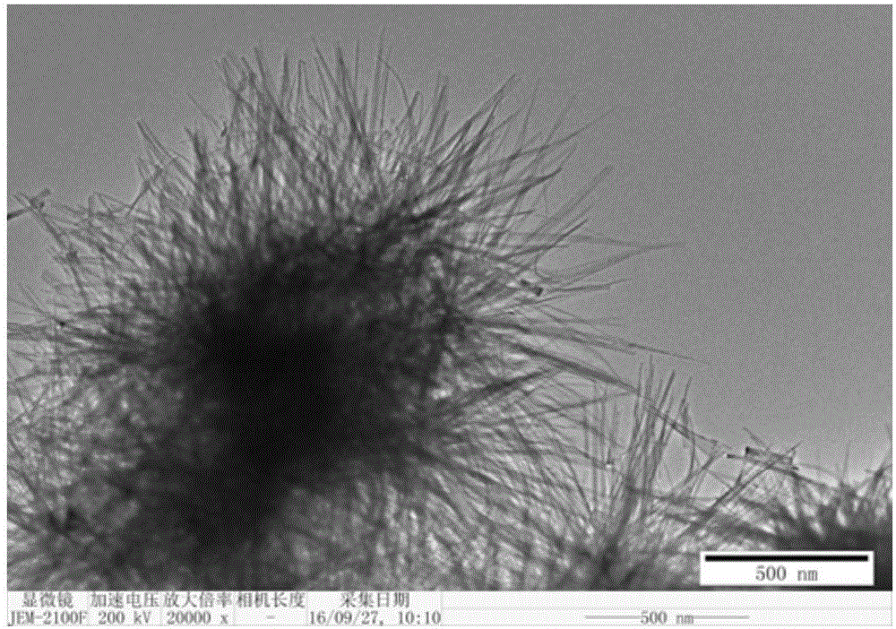 Sea urchin-shaped niobium pentoxide electrode material and preparation method thereof