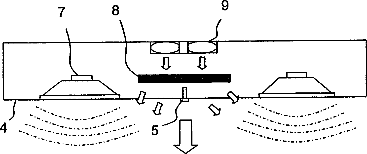 Display device with negative ion generation function and control method thereof