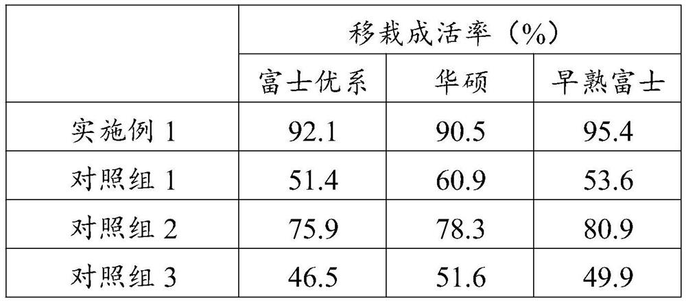 Method for planting apple trees in southern Xinjiang desert areas in Xinjiang