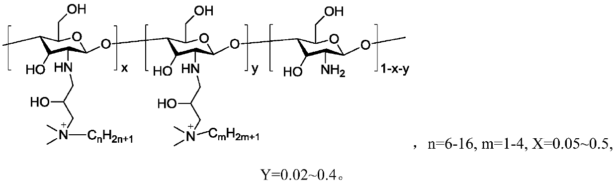 Preparation method of antibacterial chitosan quaternary ammonium salt and product