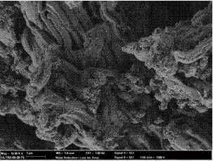 Mesoporous bioactive glass material with apatite nanocrystallines and method for producing mesoporous bioactive glass material with apatite nanocrystallines