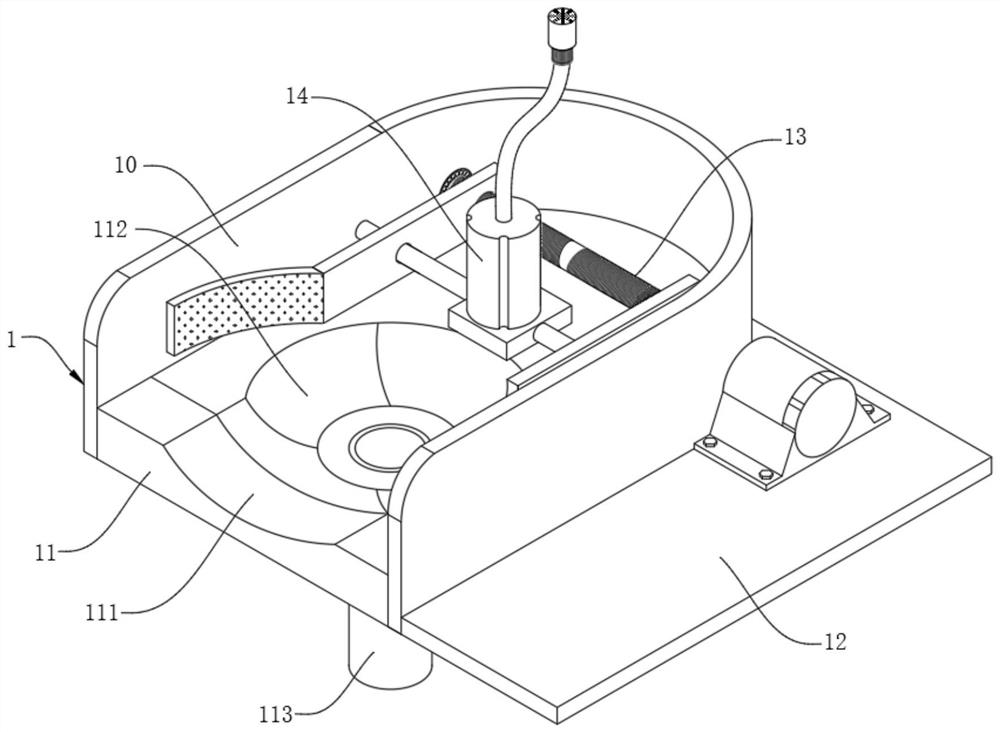 A face fixing device with a face washing function