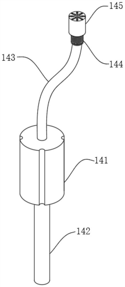 A face fixing device with a face washing function