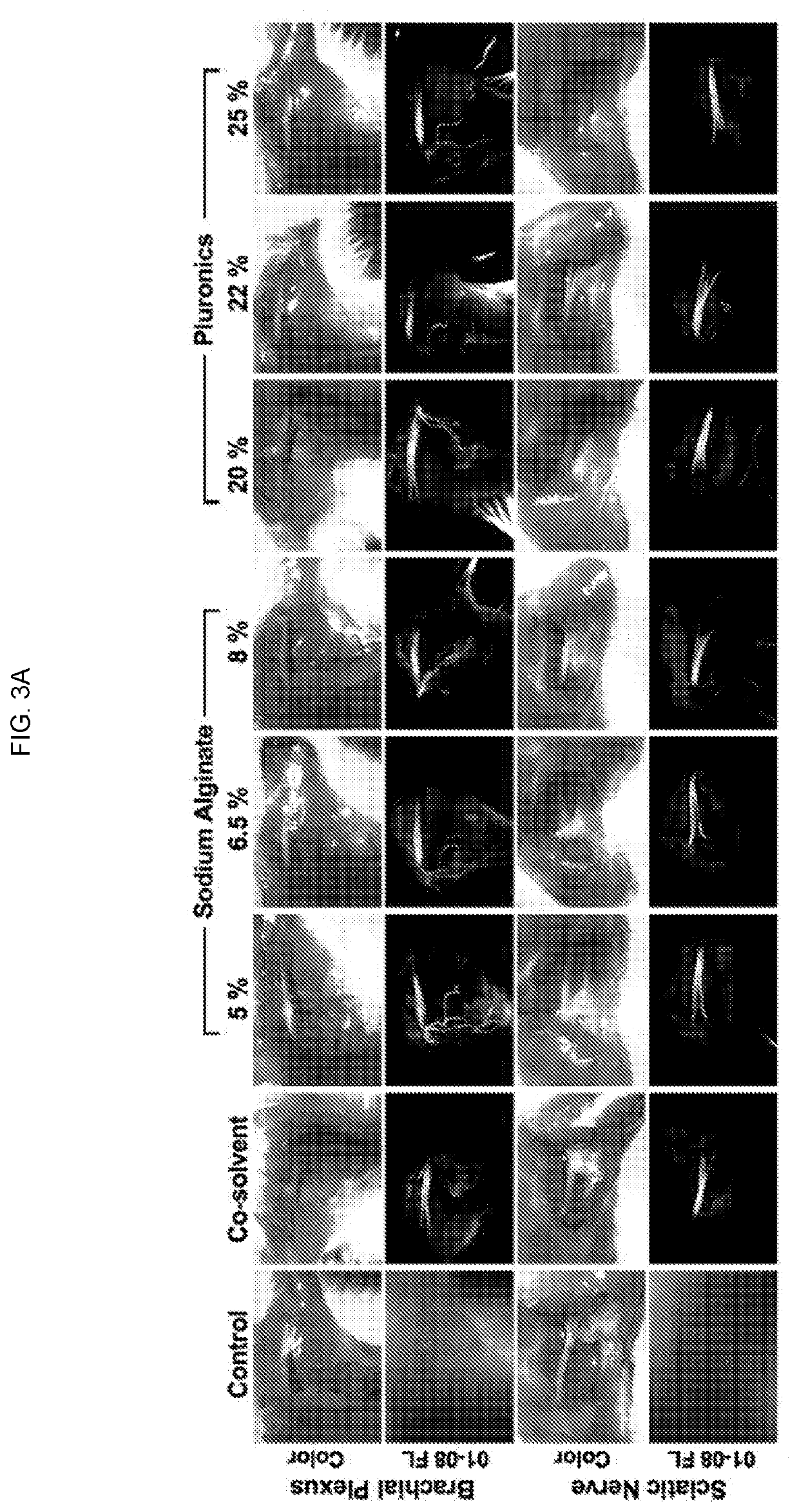 Nerve-specific fluorophore formulations for direct and systemic administration