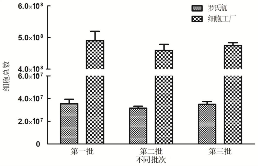 Large-scale preparation method of F genotype mumps attenuated live vaccine