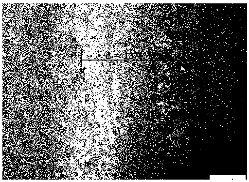 Metallographic corrosive liquid for bimetal composite pipe with transition layer and etching method of metallographic corrosive liquid