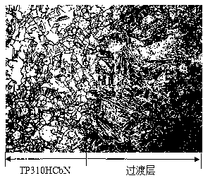 Metallographic corrosive liquid for bimetal composite pipe with transition layer and etching method of metallographic corrosive liquid