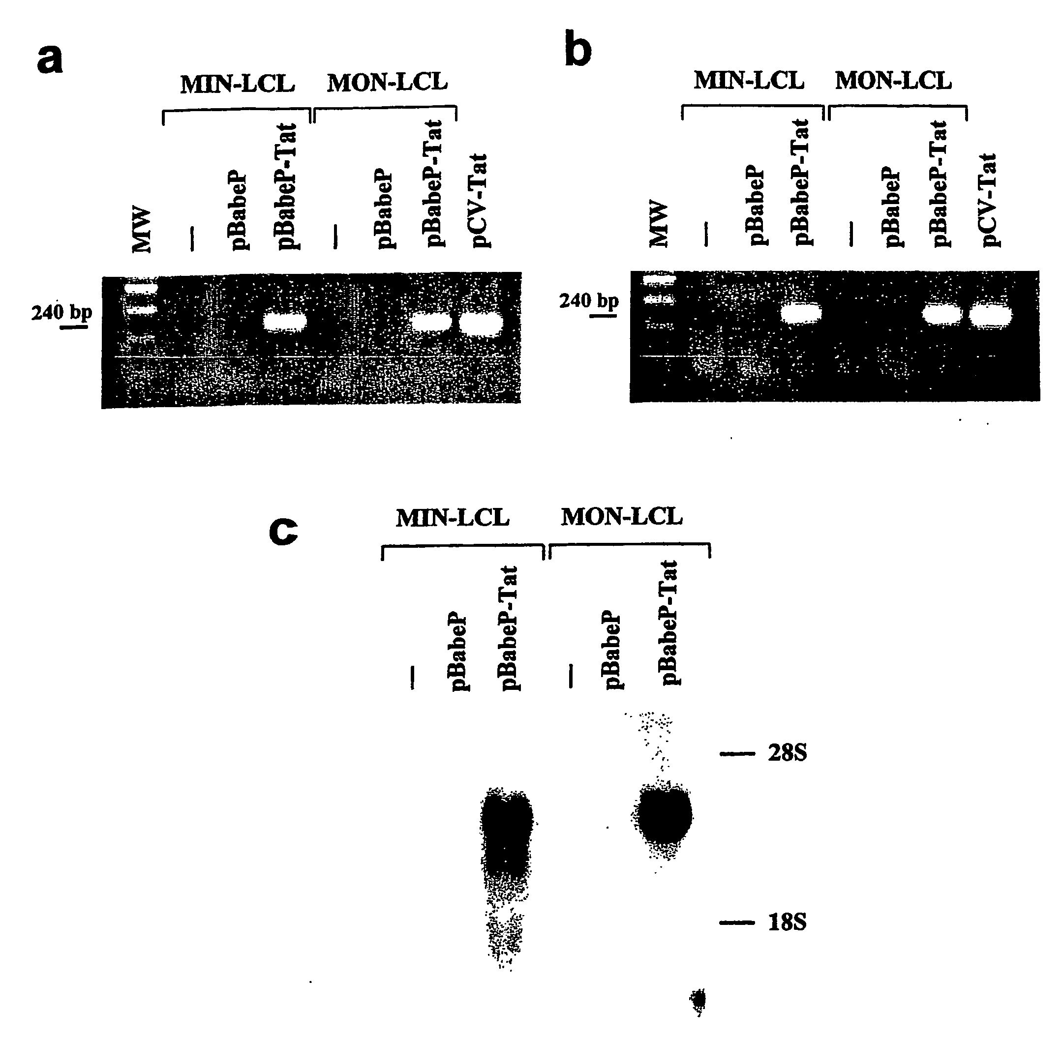 Vaccines containing the hiv tat protein as an adjuvant for the enhancement of cytotoxic t-cell responses