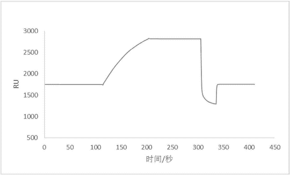 Morphine detection method based on SPR technique