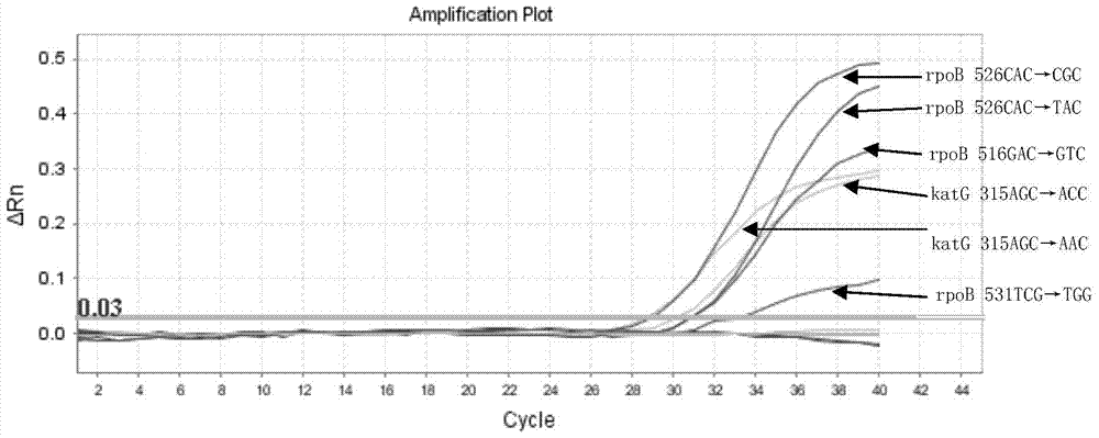 A kit for detecting drug-resistant genes of Mycobacterium tuberculosis and its application