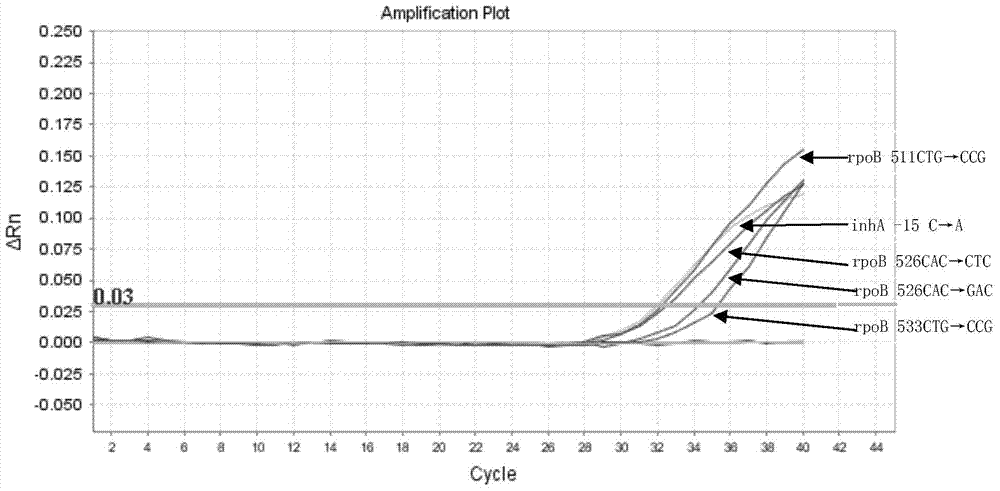 A kit for detecting drug-resistant genes of Mycobacterium tuberculosis and its application