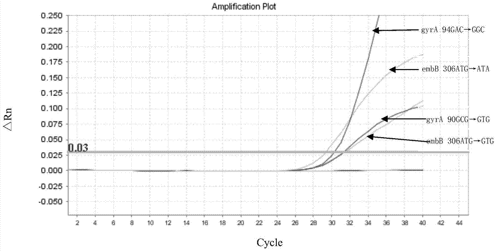 A kit for detecting drug-resistant genes of Mycobacterium tuberculosis and its application