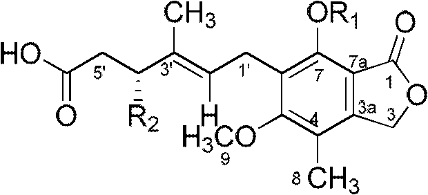 Mycophenolic acid derivatives Penicacids A, B, C and their application in preparing immunosuppression medicaments