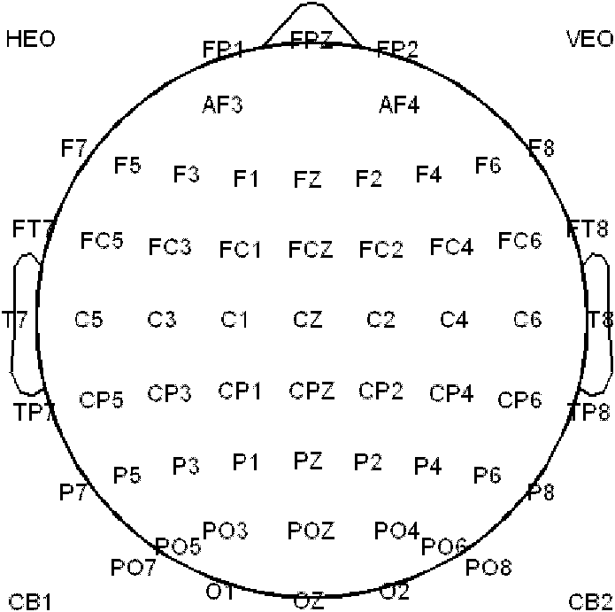 Lead optimizing method for P300 brain-computer interface