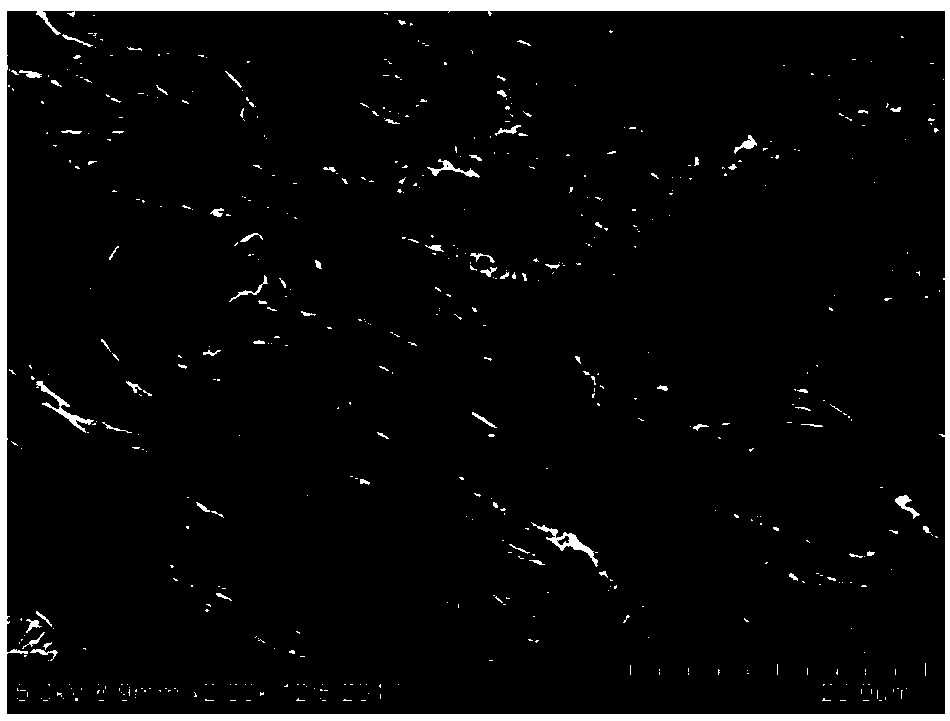 Preparation method of ECTFE hollow fiber porous membrane for a membrane chemical reactor process