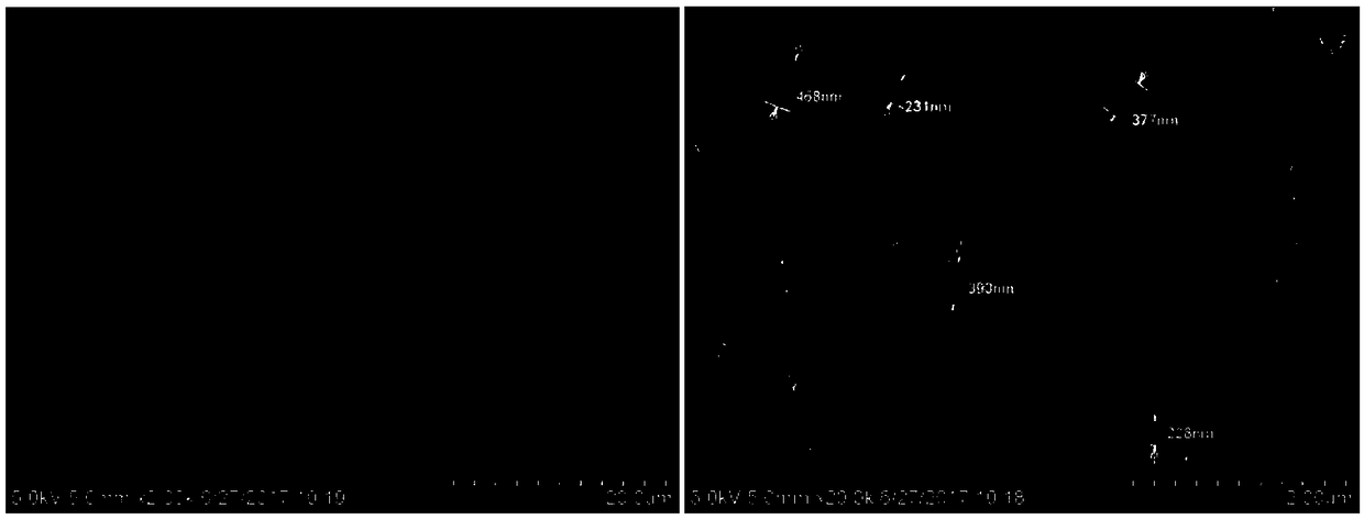 Preparation method of ECTFE hollow fiber porous membrane for a membrane chemical reactor process