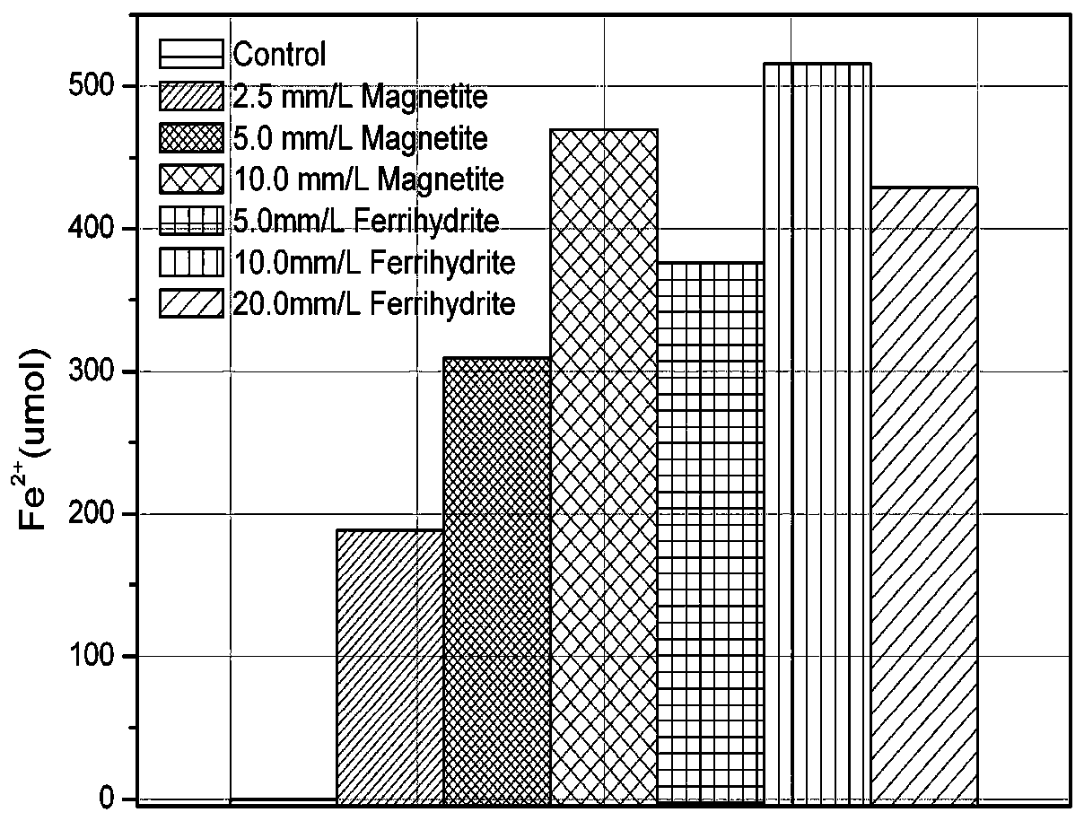 Multifunctional Dizyme Clostridium and Its Application