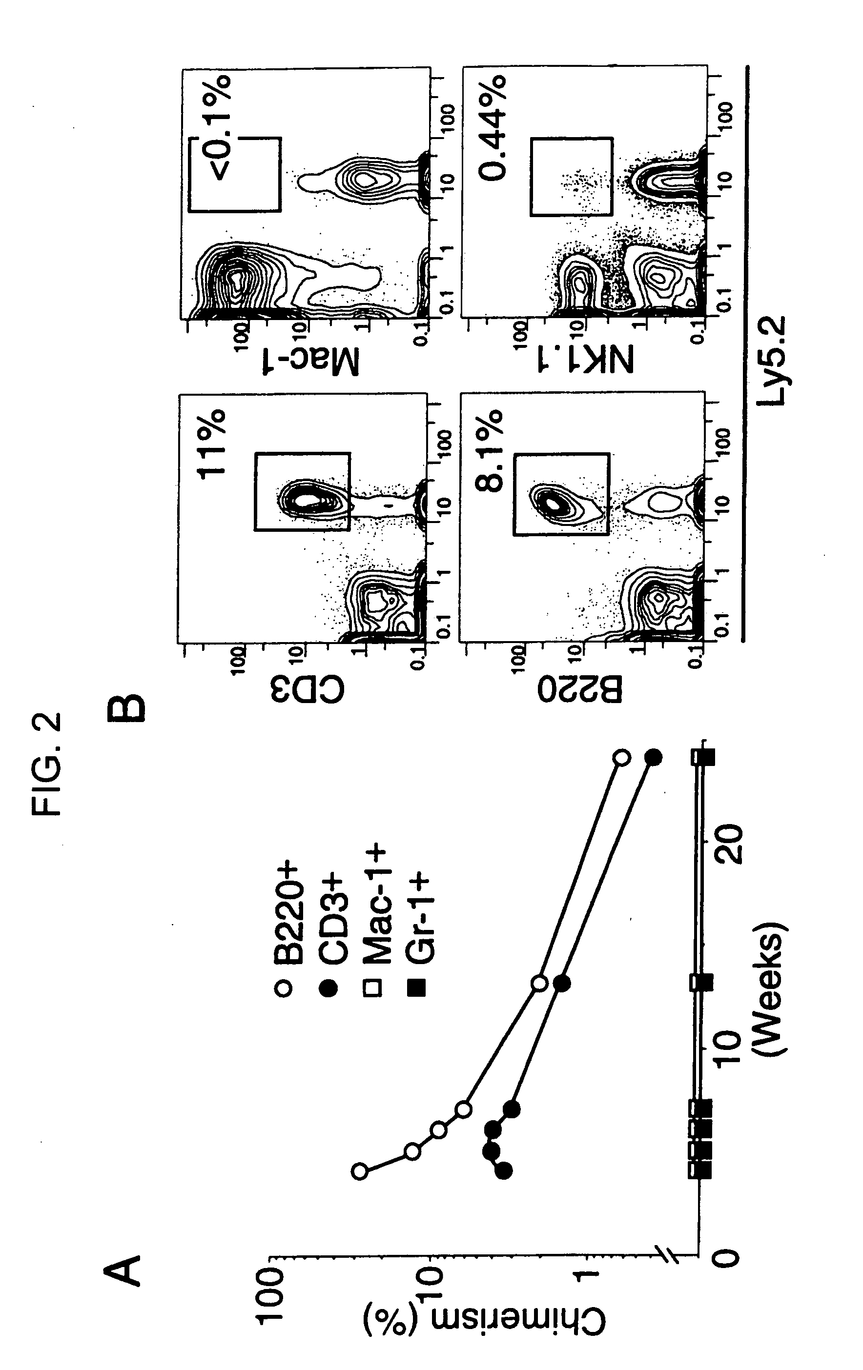 Mammalian common lymphoid progenitor cell