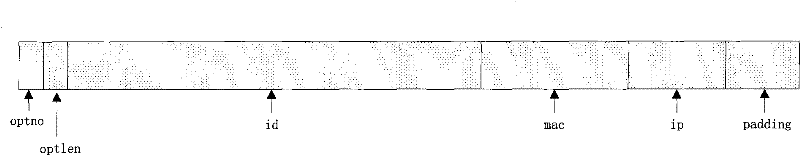 Method for realizing information bypass by using IP Option