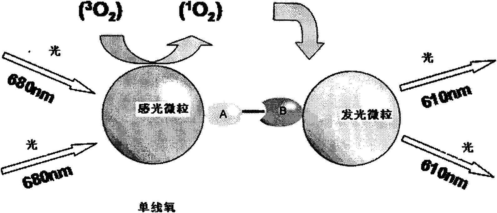 Triiodothyronine detection reagent kit and use method thereof