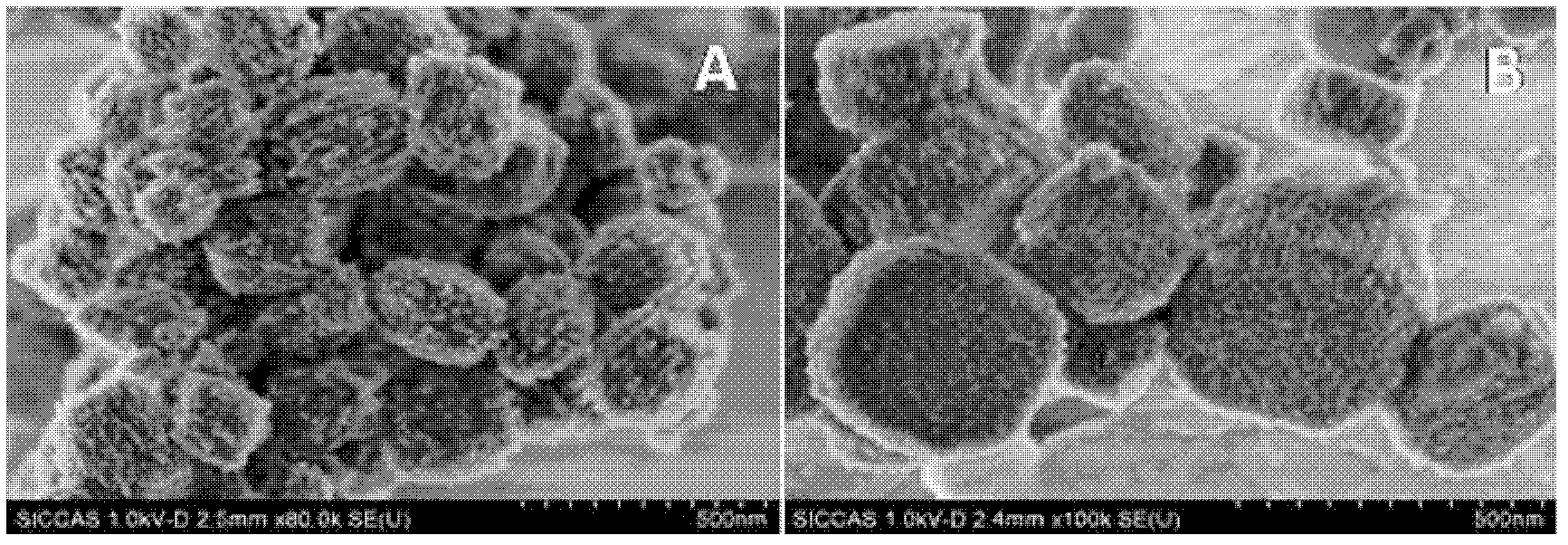 Method for preparing hierarchical pore molecular sieve materials