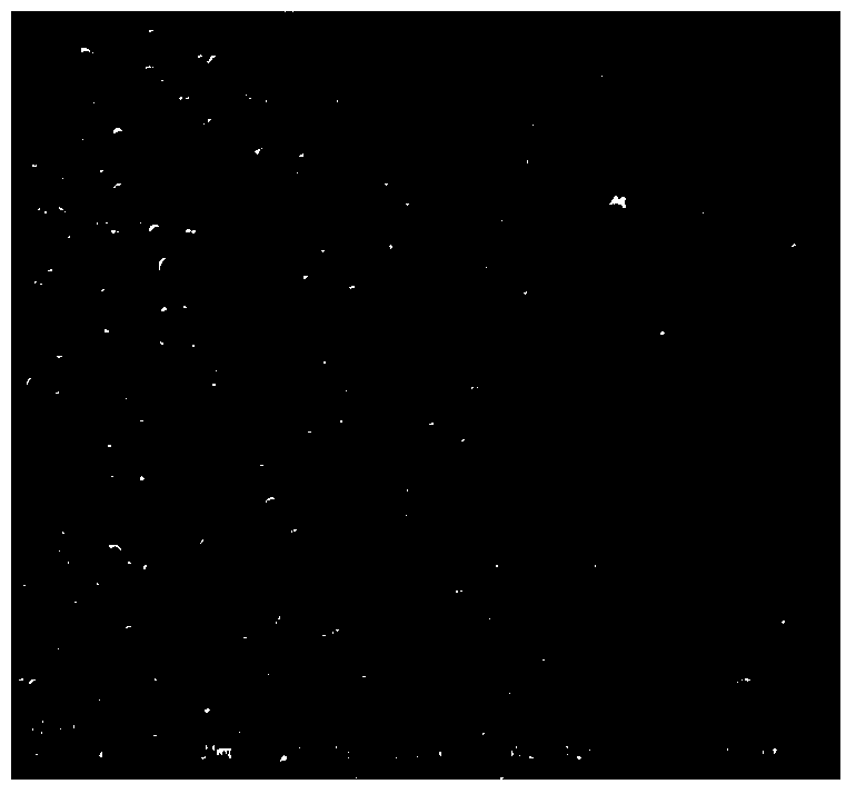 Nano metal ceramic electrodeposited composite coating at inner hole wall of oil drill pipe and preparation method thereof